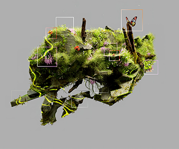 Biodiversity