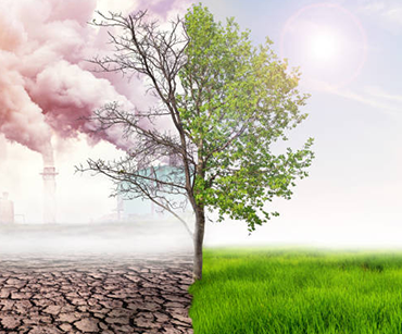 Climate Change