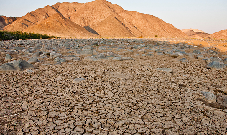 Climate Change